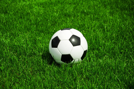 体育爱好者观赛场景