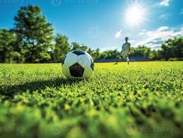 体育媒体报道场景